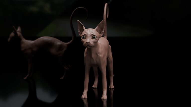 Hairless Cat